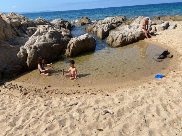 Apartment T2 - Sanguinaires - Superbe Vue - Proche Centre Ajaccio (Corsica)