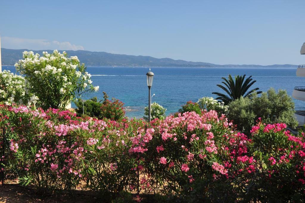 T2 - Sanguinaires - Superbe Vue - Proche Centre Apartment Ajaccio (Corsica)
